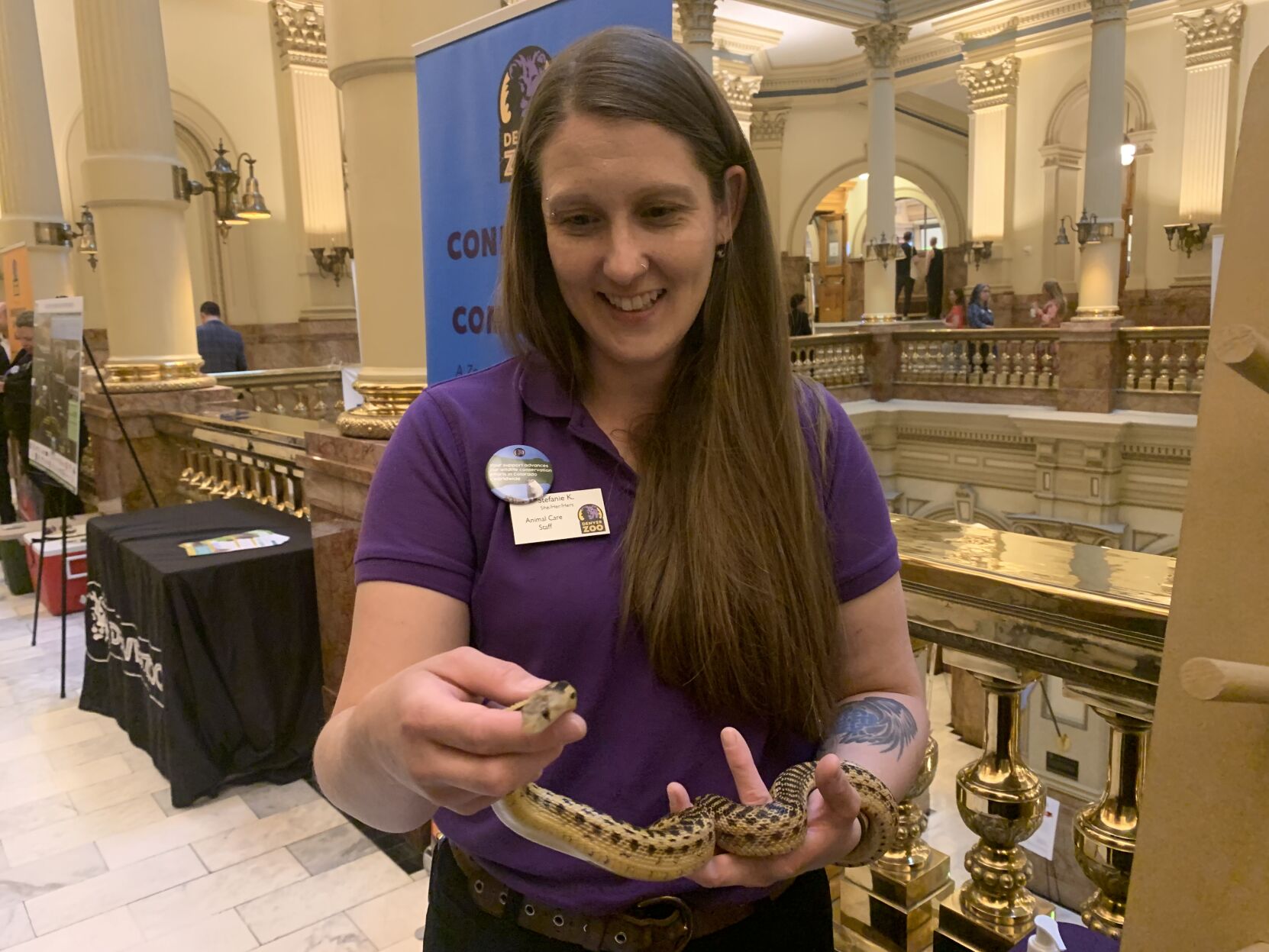 Pacific gopher snake